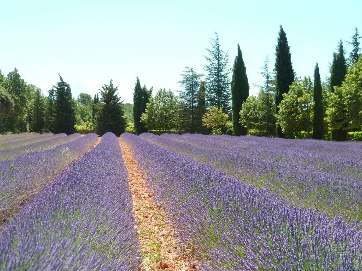 Luberon & Lavandes Roussillon en Isere Exteriör bild
